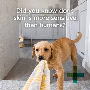 PAW Lavender Conditioning & Grooming Spray for Dogs 200ml