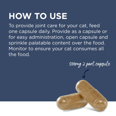 PAW Osteosupport Supplement for Cats - 60 Capsules