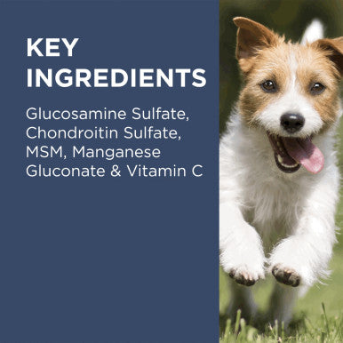 PAW Osteocare Joint Protect Chews Medium Large Dogs - 300g