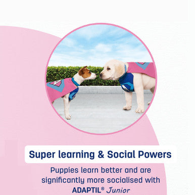 Adaptil Junior Calming Collar for Puppies