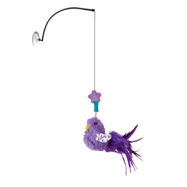 KONG Connects Window Teaser For Cats