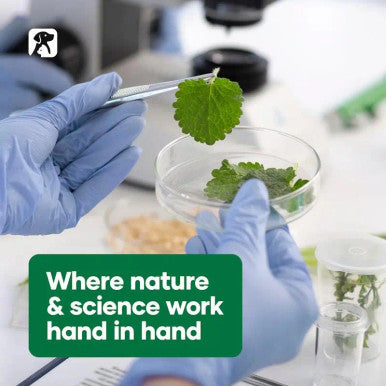 NAS Traveleze - Travel Stress Relief for Pets 15mL