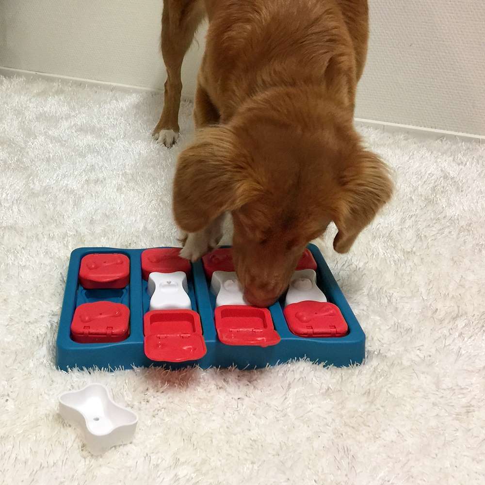 Nina Ottosson Dog Brick Interactive Treat Dispenser Dog Toy
