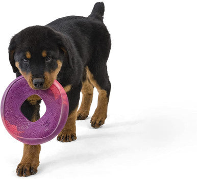 West Paw Seaflex Recycled Plastic Flyer Dog Toy - Sailz - Hibiscus