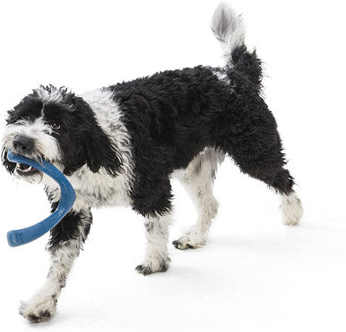 West Paw Seaflex Recycled Plastic Tug Dog Toy - Snorkl Surf