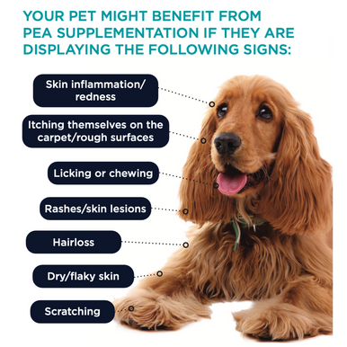 PAW PurePEA+ Omega for Dogs & Cats - 90 Capsules