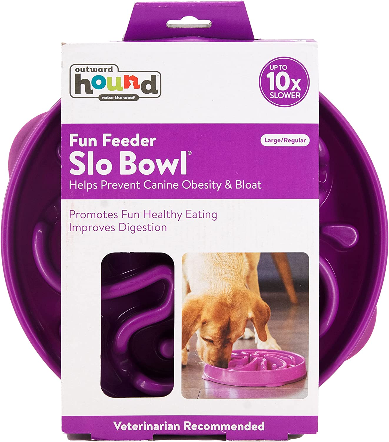 Outward Hound Fun Feeder Slow Bowl for Dogs