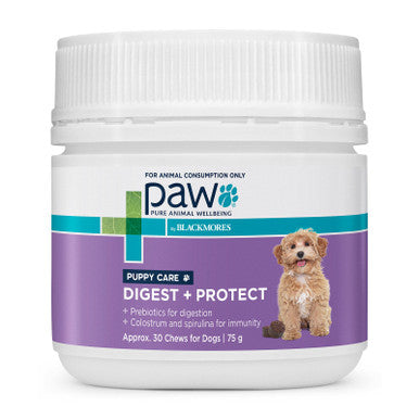 PAW Digest & Protect Puppy Care Chews - 75g