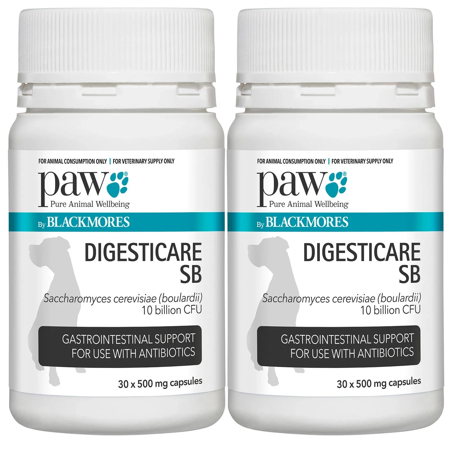 PAW Digesticare SB Gastrointestinal Support for Dogs 500mg - 30 Capsules