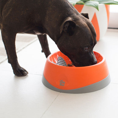 LickiMat Oh Bowl Oral Hygiene Dog Bowl Large Orange