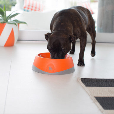 LickiMat Oh Bowl Oral Hygiene Dog Bowl Large Orange