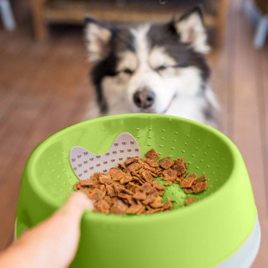 LickiMat Oh Bowl Oral Hygiene Dog Bowl Medium Green