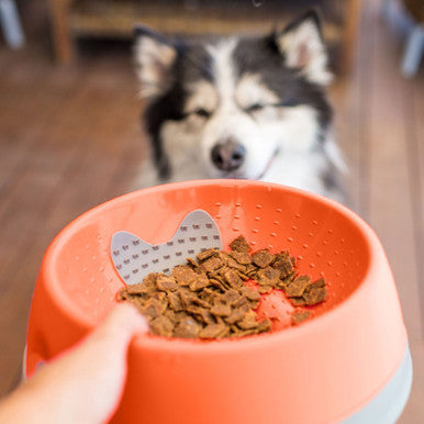 LickiMat Oh Bowl Oral Hygiene Dog Bowl Medium Orange