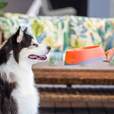 LickiMat Oh Bowl Oral Hygiene Dog Bowl Medium Orange