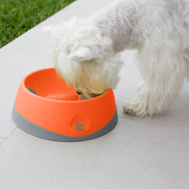 LickiMat Oh Bowl Oral Hygiene Dog Bowl Small Orange