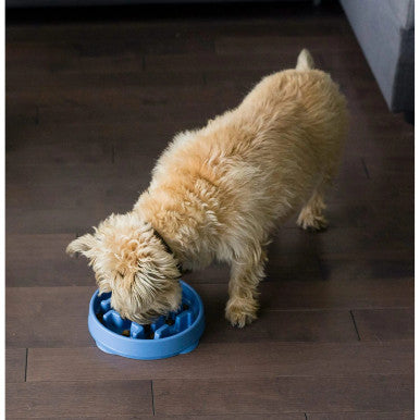 Outward Hound Fun Feeder Slow Bowl for Dogs