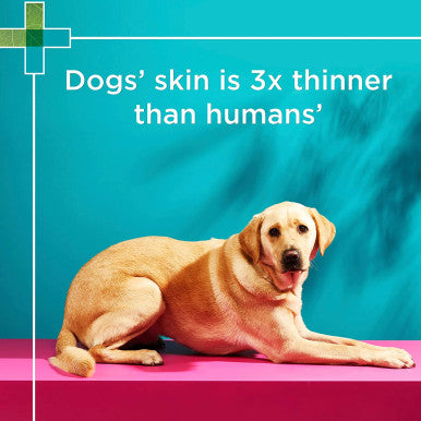 PAW 2 In 1 Skin & Coat Conditioning Shampoo 500ml