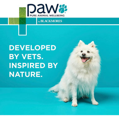 PAW 2 In 1 Skin & Coat Conditioning Shampoo 500ml