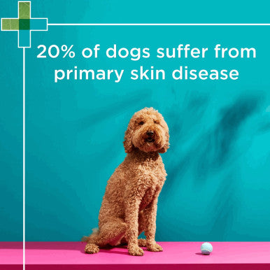 PAW Nutriderm Replenishing Shampoo & Conditioner Pack 200ml