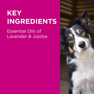 PAW Lavender Conditioning & Grooming Spray for Dogs 200ml