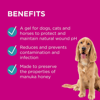 PAW Manuka Wound Gel for Dogs Cats & Horses - 100g