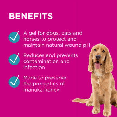 PAW Manuka Wound Gel for Dogs Cats & Horses - 25g