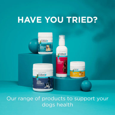 PAW Manuka Wound Gel for Dogs Cats & Horses - 25g