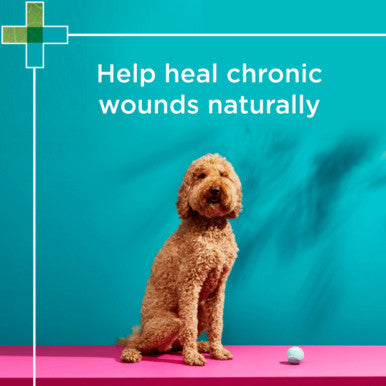 PAW Manuka Wound Gel for Dogs Cats & Horses - 25g