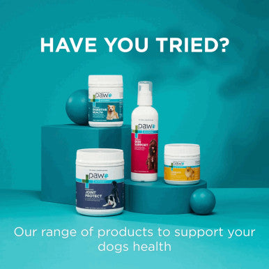 PAW Mediderm Gentle Medicated Shampoo for Dogs 200ml