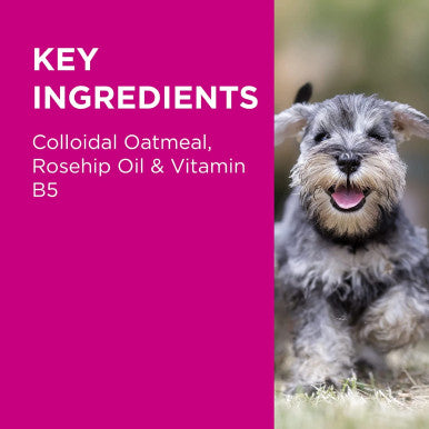 PAW Nutriderm Nourishing Shampoo for Cats & Dogs 200ml