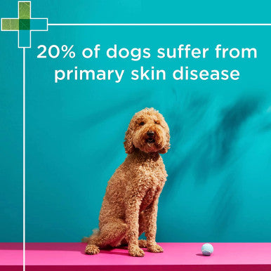 PAW Nutriderm Nourishing Shampoo for Cats & Dogs 500ml