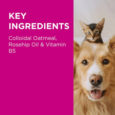 PAW Nutriderm Nourishing Shampoo for Cats & Dogs 500ml