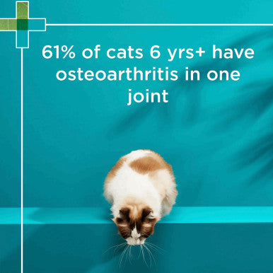 PAW Osteosupport Supplement for Cats - 60 Capsules