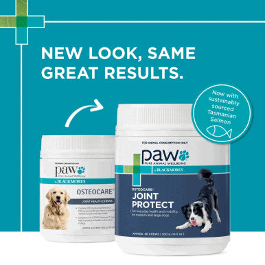 PAW Osteocare Joint Protect Chews Medium Large Dogs - 300g
