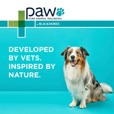 PAW Osteosupport Powder for Dogs 500mg - 80 Capsules