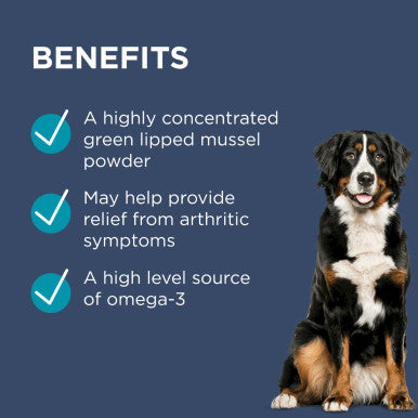 PAW Osteosupport Powder for Dogs 500mg - 80 Capsules