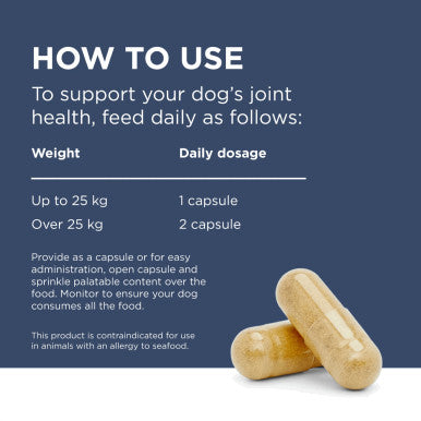 PAW Osteosupport Powder for Dogs 500mg - 80 Capsules