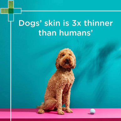 PAW Sensitive Conditioner for Dogs 500ml