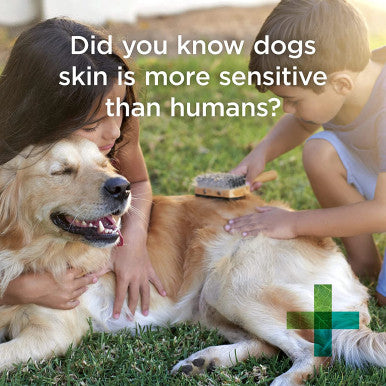 PAW Sensitive Shampoo for Dogs 500ml