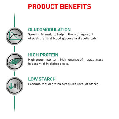 Royal Canin Veterinary Diet Feline Diabetic Wet 85g x 12