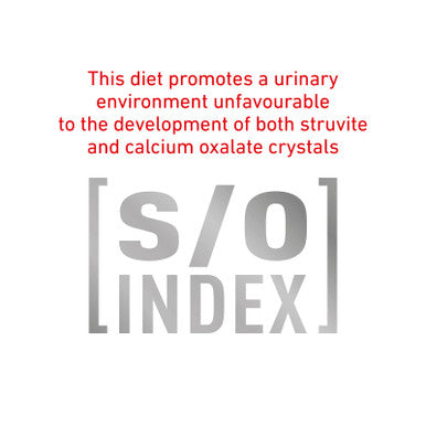 Royal Canin Veterinary Diet Feline Diabetic Wet 85g x 12