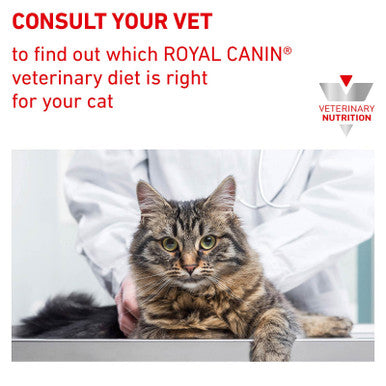 Royal Canin Veterinary Diet Feline Urinary S/O Dry 7kg