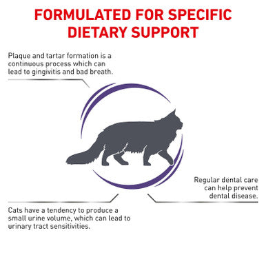 Royal Canin Veterinary Diet Feline Dental S/O Dry 1.5kg