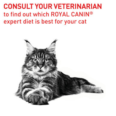 Royal Canin Veterinary Diet Feline Dental S/O Dry 3kg