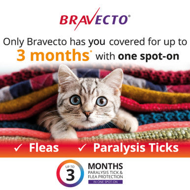 Bravecto Spot On For Cats Blue 2.8-6.25kg - 2 Dose Pack