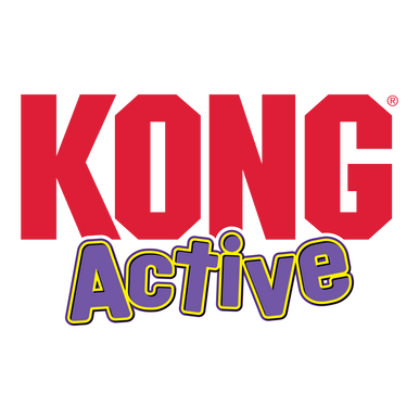 KONG Active Sway n Play Cat Toy