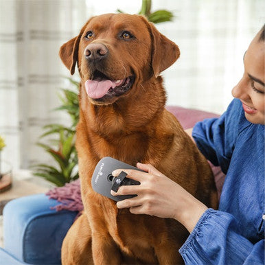 FURminator Sensitive Areas Tool For Cats & Dogs