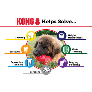 KONG Classic Interactive Dog Toy Medium