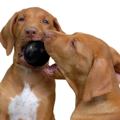 KONG Extreme Ball Medium Large