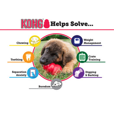 KONG Extreme Interactive Dog Toy Medium
